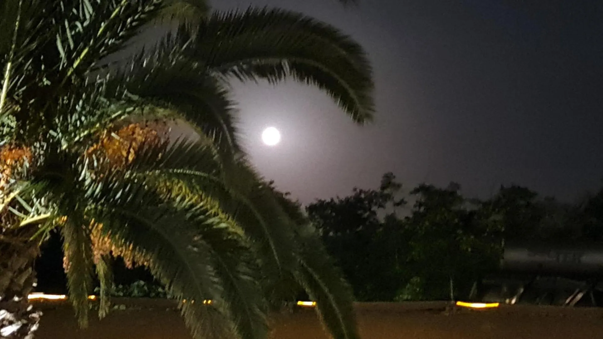 Apartamento The Palms Novasithonia Vourvourou